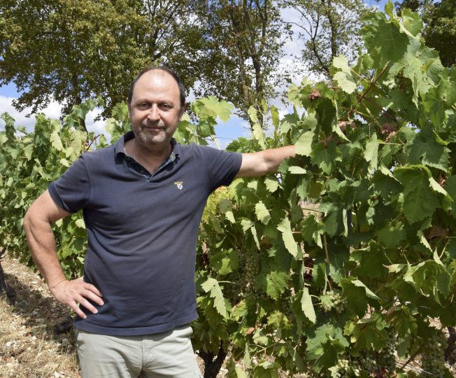 David Ramnoux compte dix hectares de vignes à Mareuil.