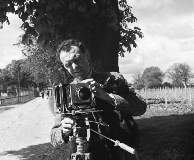 Doisneau par Doisneau dans les vignes de Cognac.