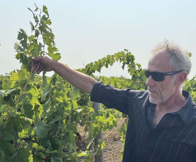 Vincent Dumont, ingénieur d'études au BNIC, a animé un atelier sur les viroses à Cherves-Richemont