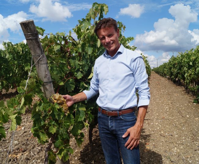 Julien Georget, précurseur d'une nouvelle activité de "coach viticole" en Charentes.