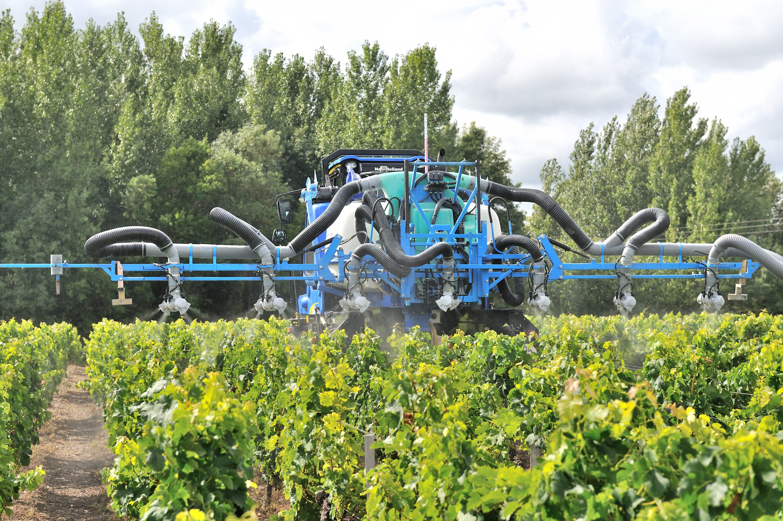 Traitement dans les vignes.