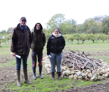 L'hibernaculum de la Maison Delamain à Bellevigne.
